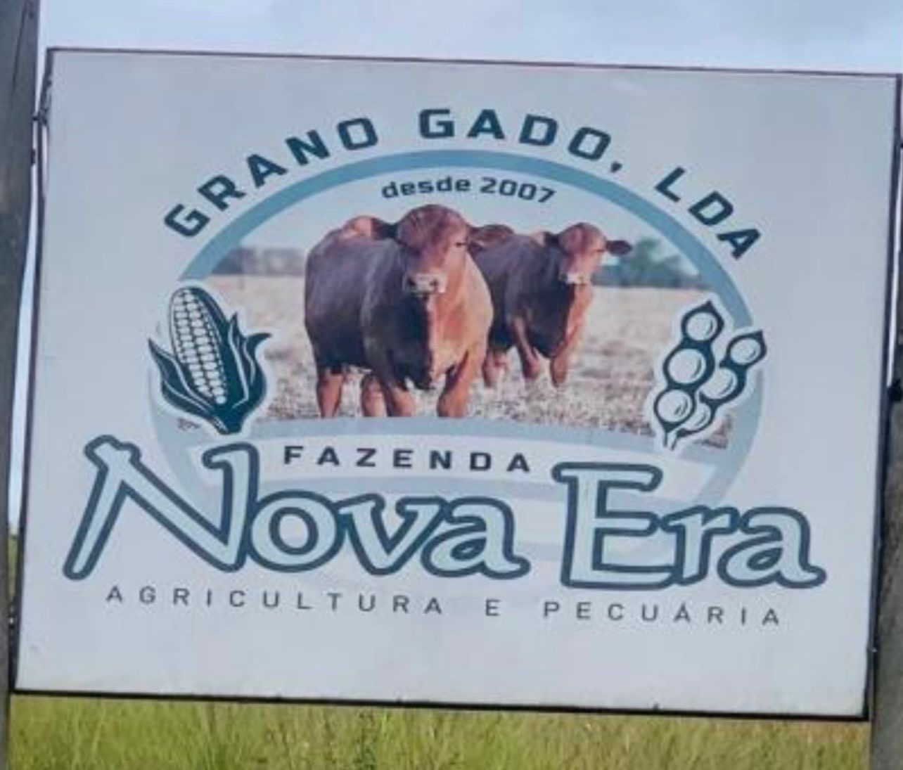 Fazenda Nova Era - Grano Gado